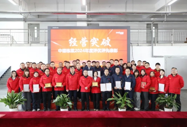 Business breakthrough! The 2024 Annual Evaluation and Recognition Conference of Sino-German DOLANG was successfully concluded.